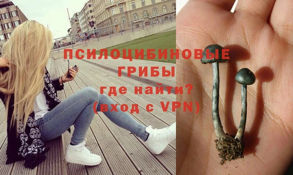 прущий лед Верея